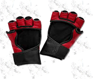 grappling gloves