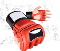 MMA gloves